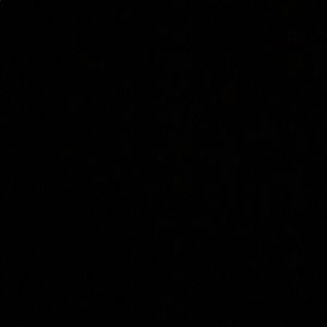 Meet your Posher, Karlie